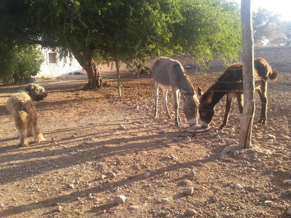 فندق Dar Essaada الصويرة المظهر الخارجي الصورة
